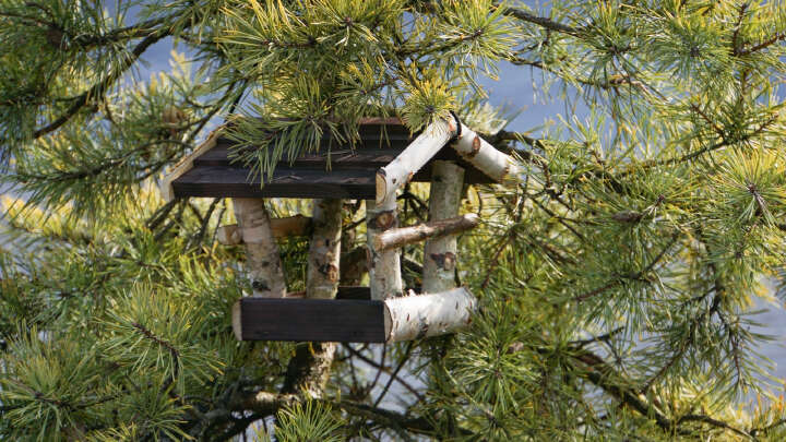 PATKAR Vogelhaus mit Holzdach